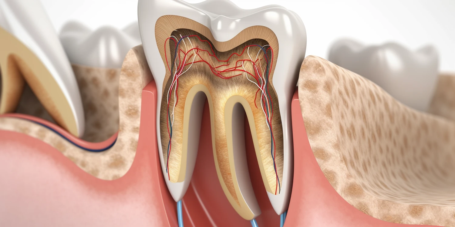 jak-zostac-dentysta-1