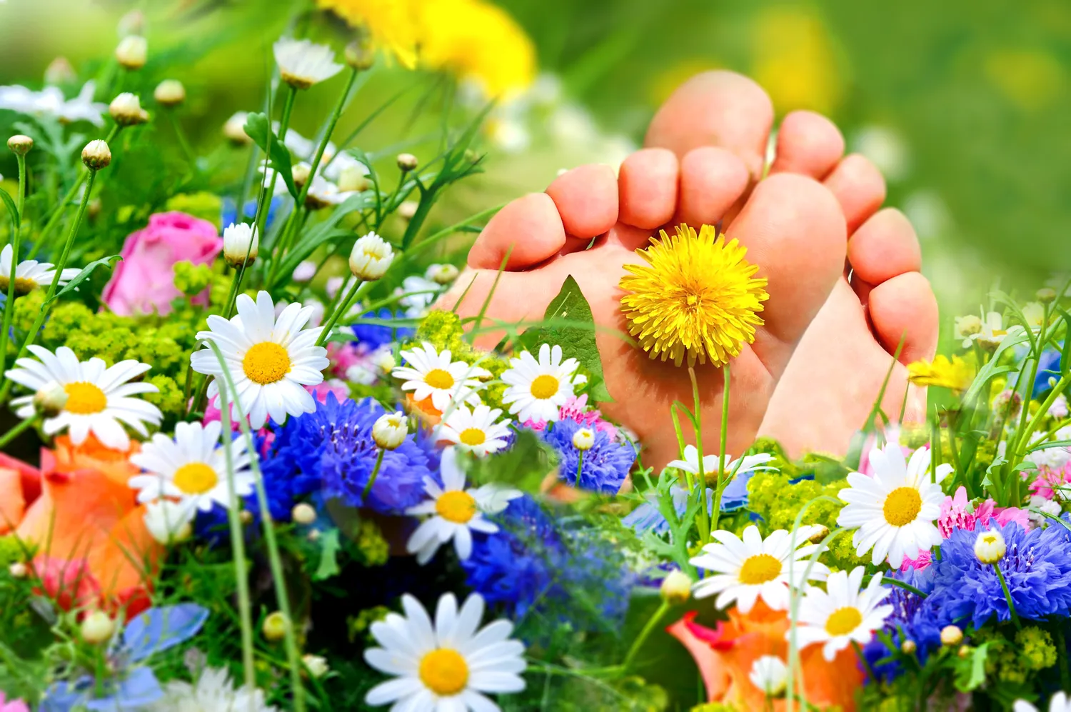 pedicure-leczniczy-1