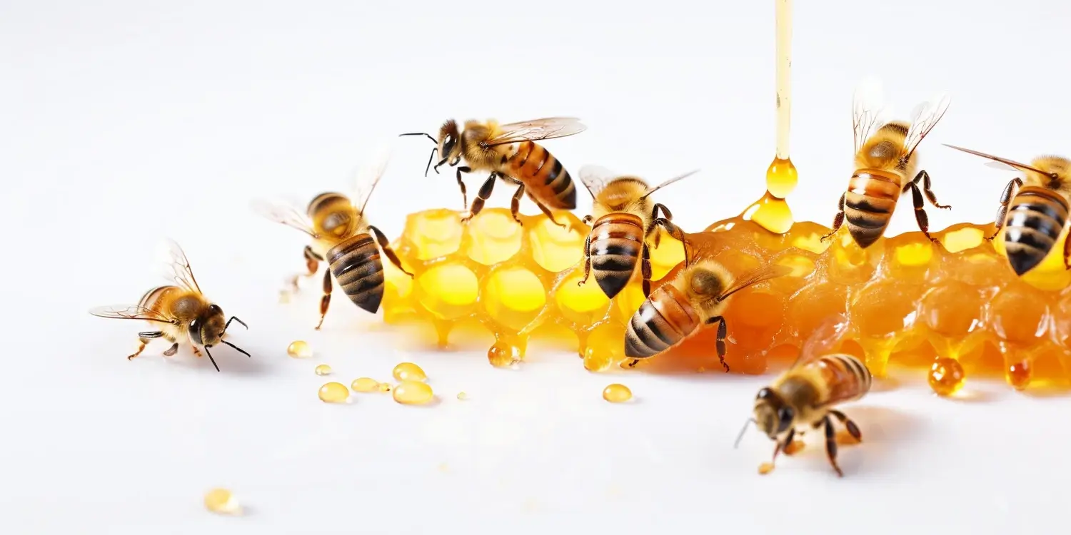 Pszczelarstwo matki pszczele