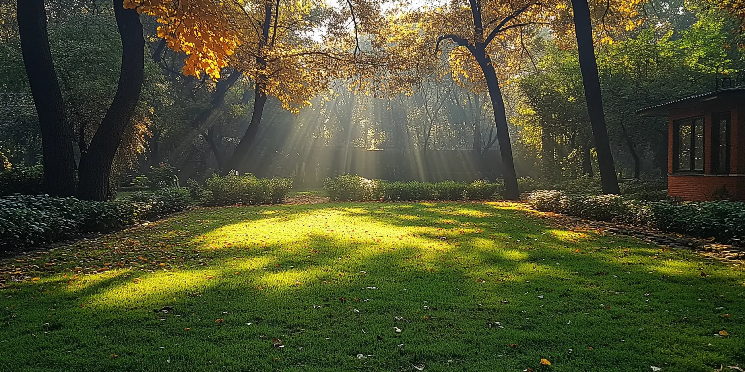 do-kiedy-trawa-z-rolki-f